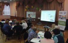 Учителя Котельников освоили «Нумикон»