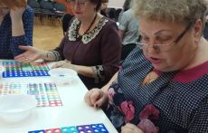 Учителя Котельников освоили «Нумикон»