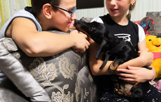 Трус не играет в следж-хоккей!